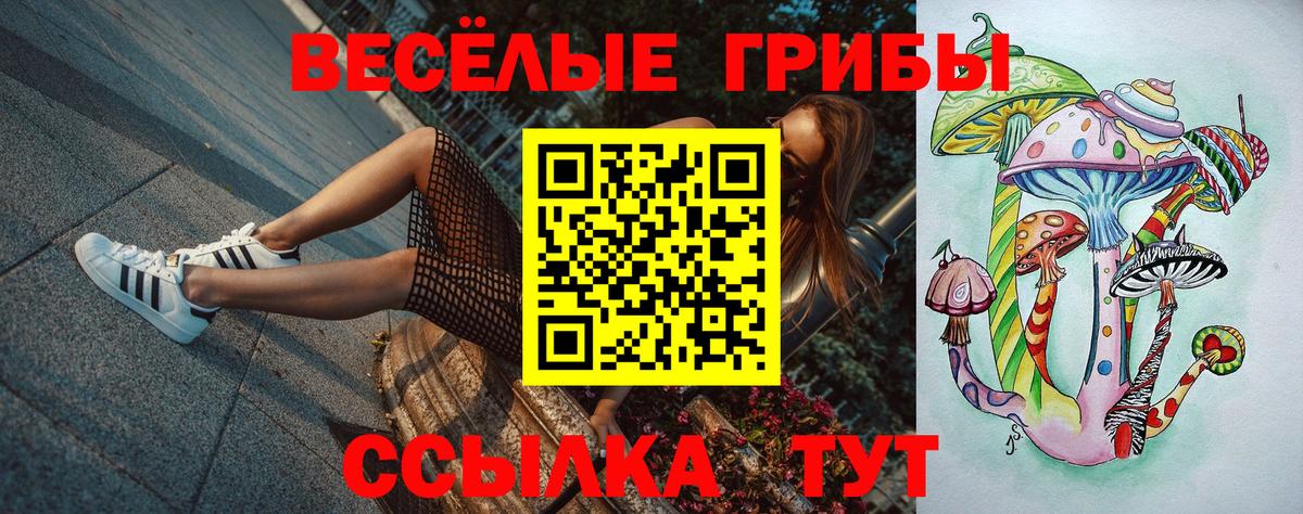 Кисловодск  купить наркотик  Вход с VPN  Галлюциногенные грибы Magic Shrooms  Галлюциногенные грибы ЛСД 