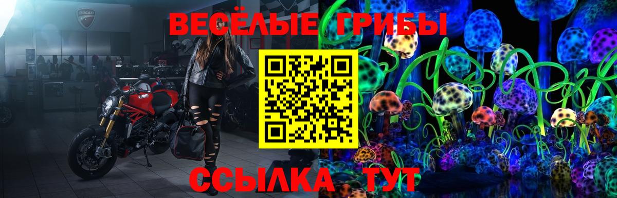 Галлюциногенные грибы Cubensis Кисловодск